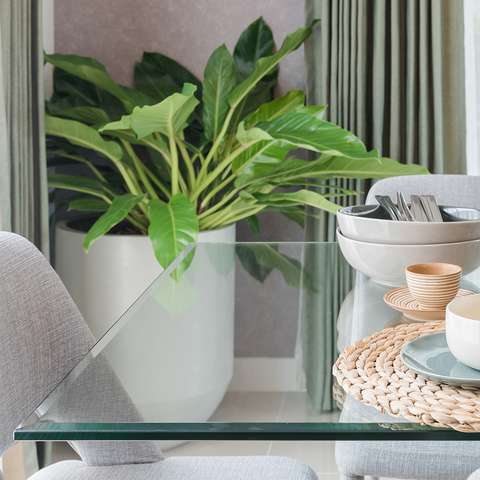 Custom Glass Table Top